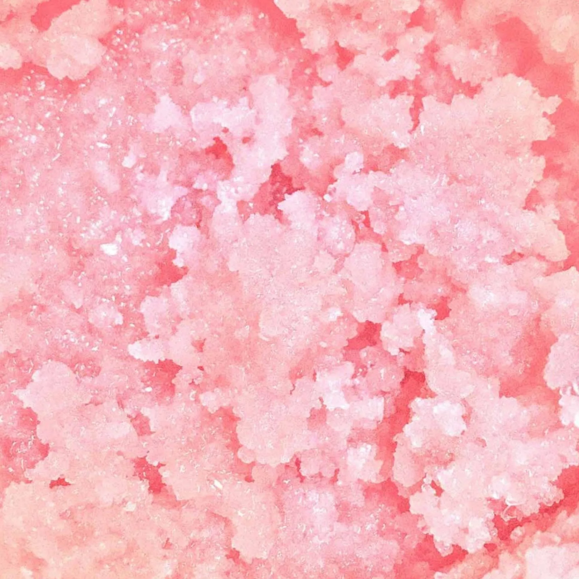 GOMMAGE CORPS PASTÈQUE – Image 2