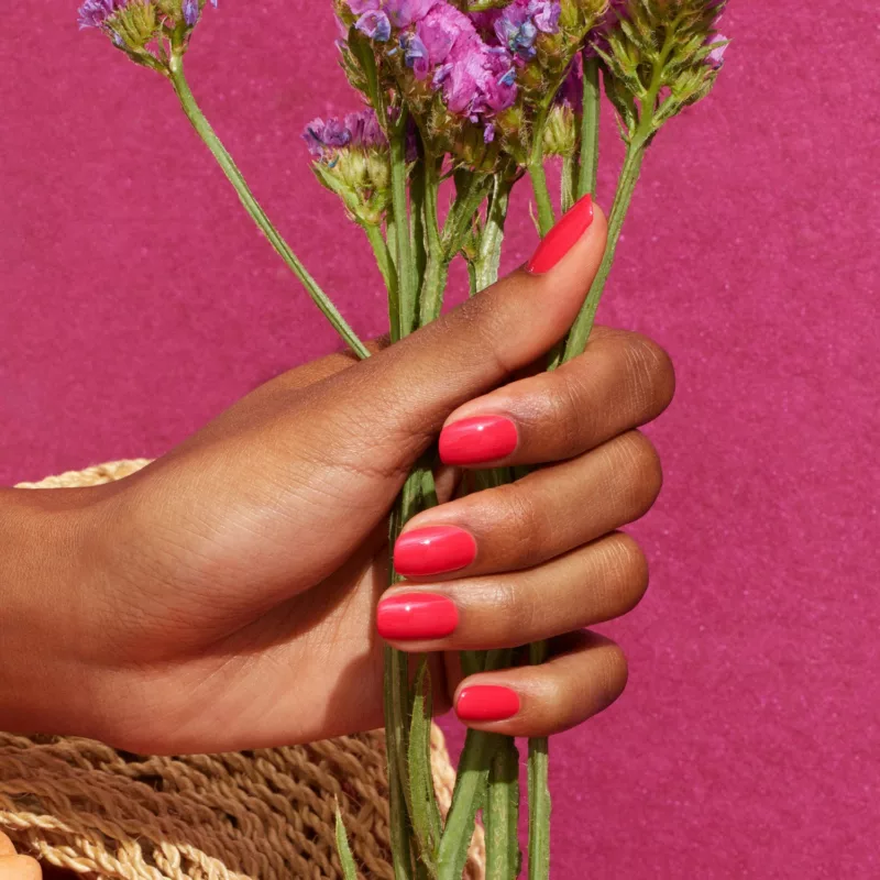 Bougainvillea - Vernis Green Flash