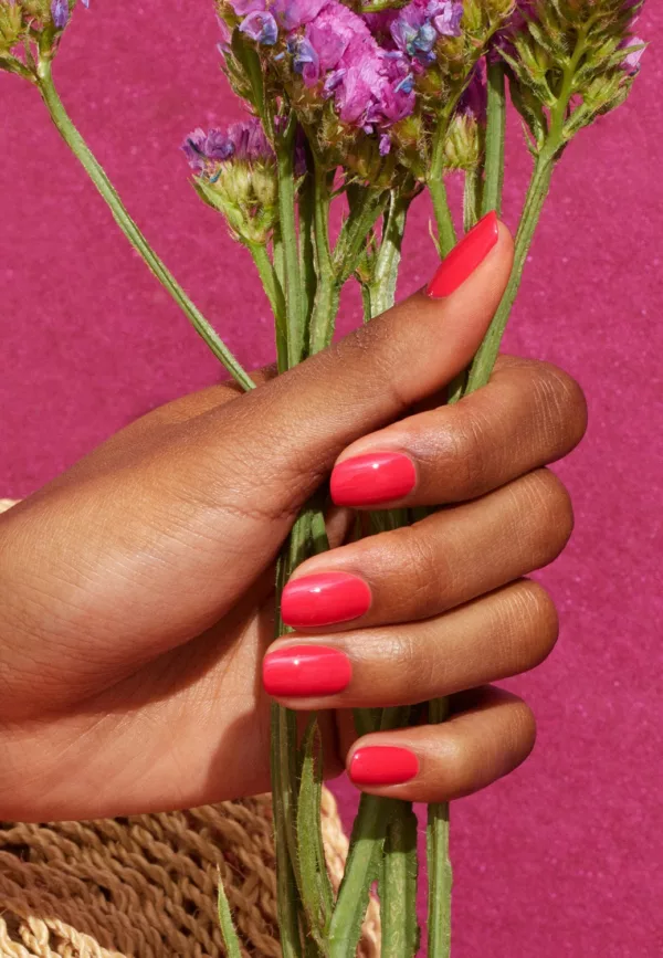 Bougainvillea - Vernis Green Flash – Image 4