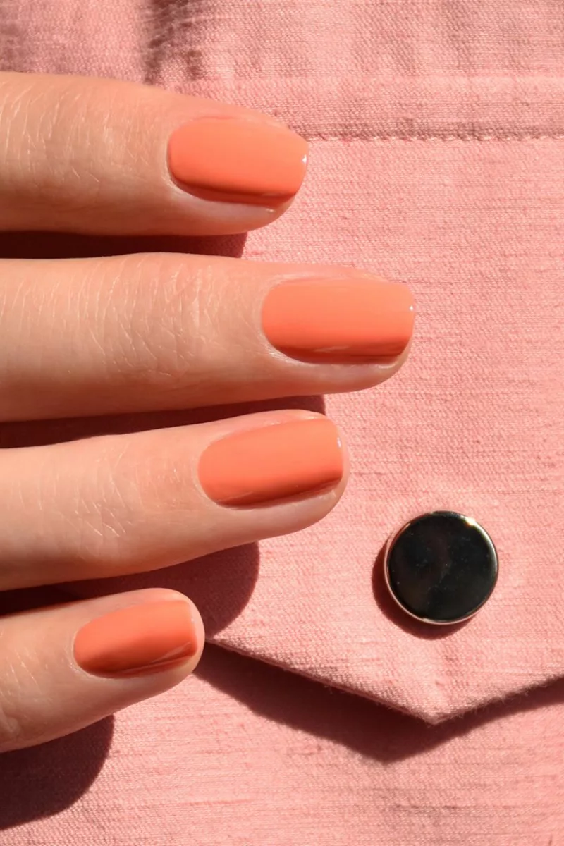 Bird of paradise - Vernis Green