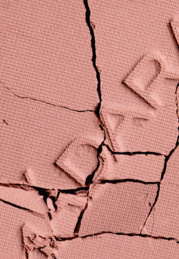 Magnetic Blush - Bare Blossom 2 – Image 2