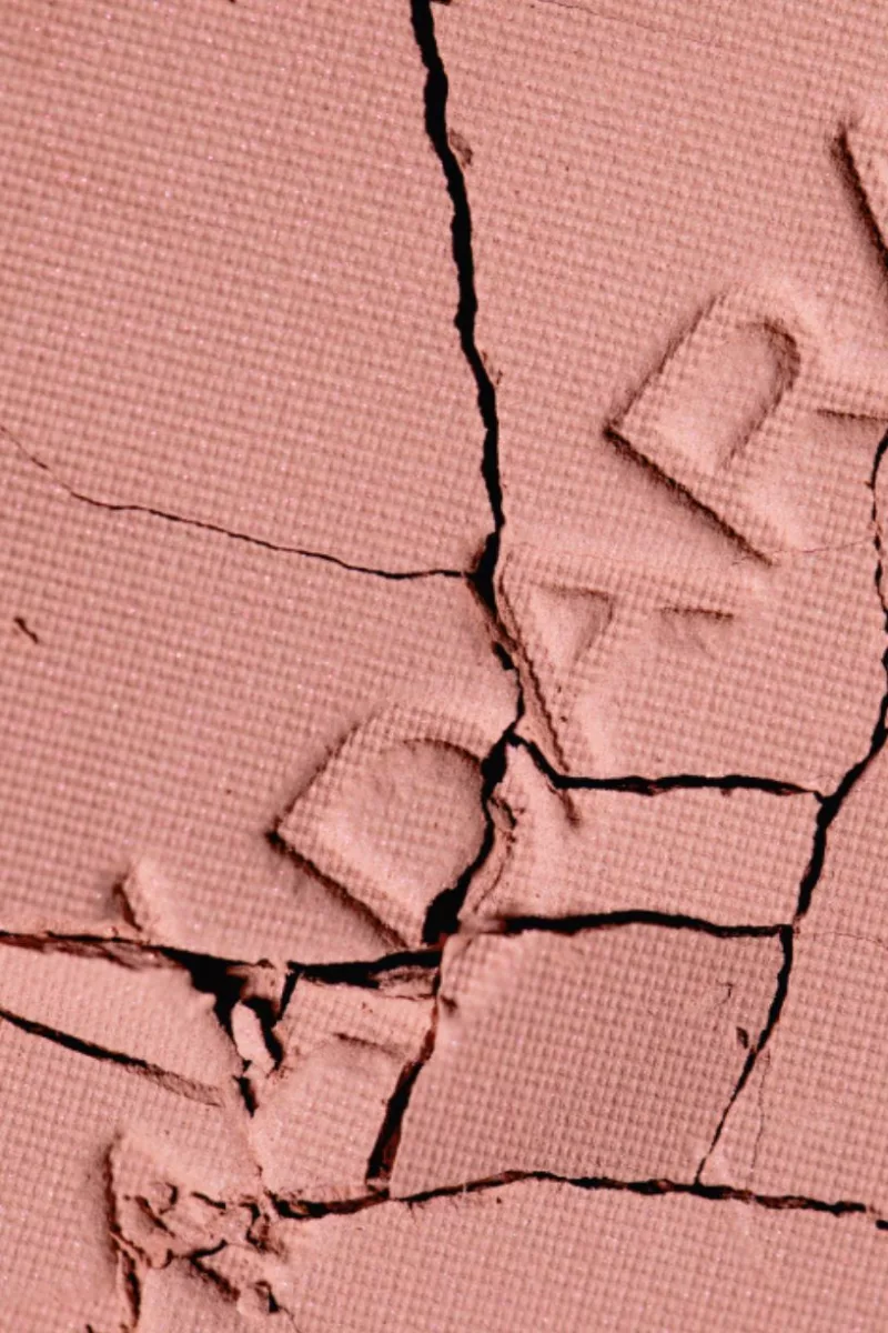 Magnetic Blush - Bare Blossom 2