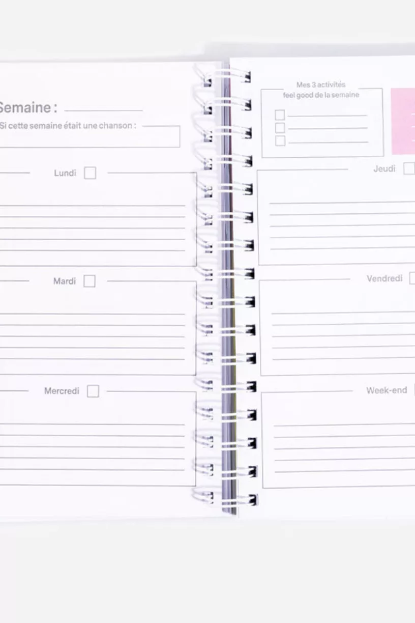 Planner moodtivation - L