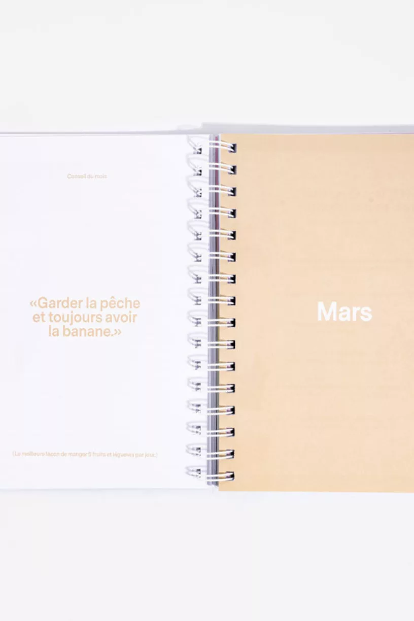 Planner moodtivation - L