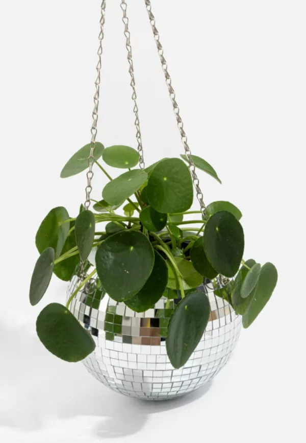 Disco mood - Cache pot disco 15 cm – Image 2