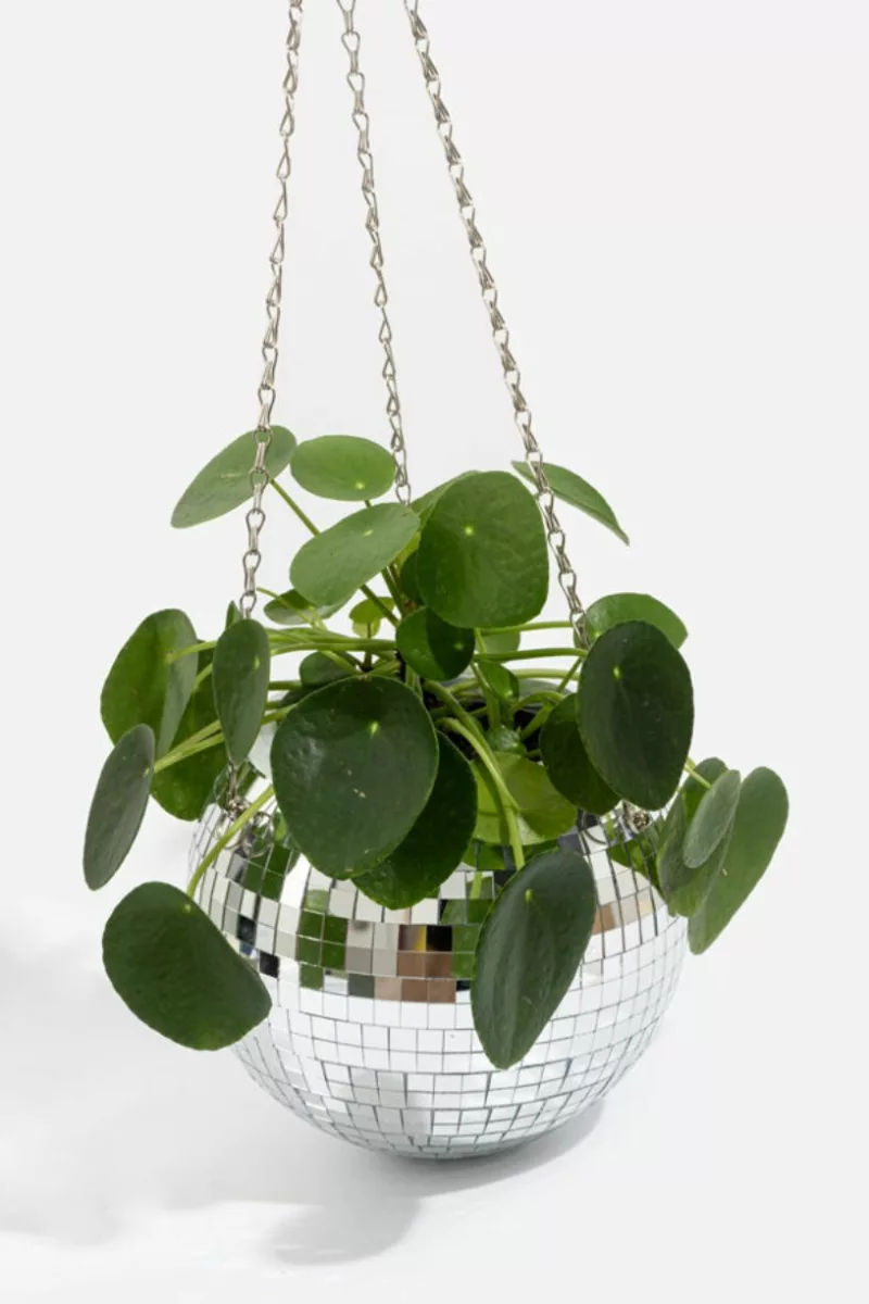 Disco mood - Cache pot disco 15 cm