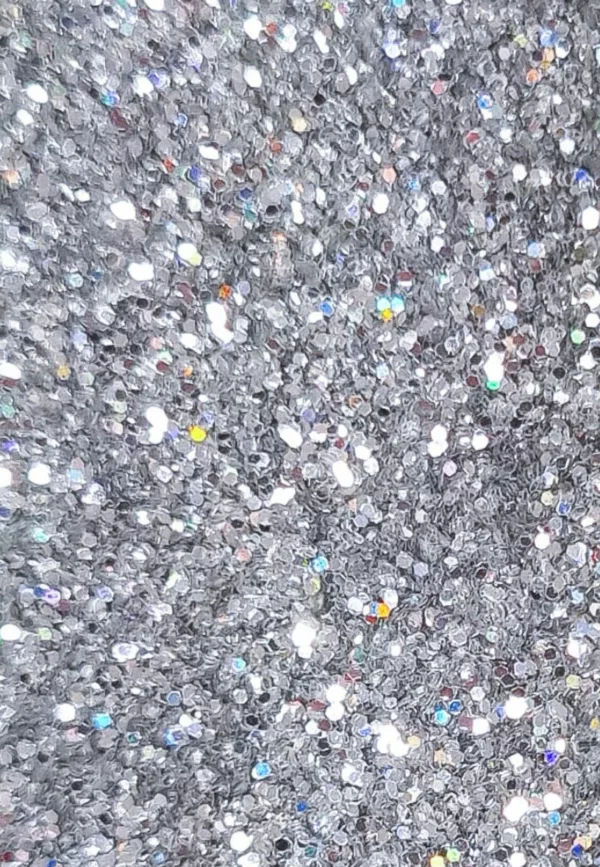 Paillettes - Holo Argente Standard – Image 2