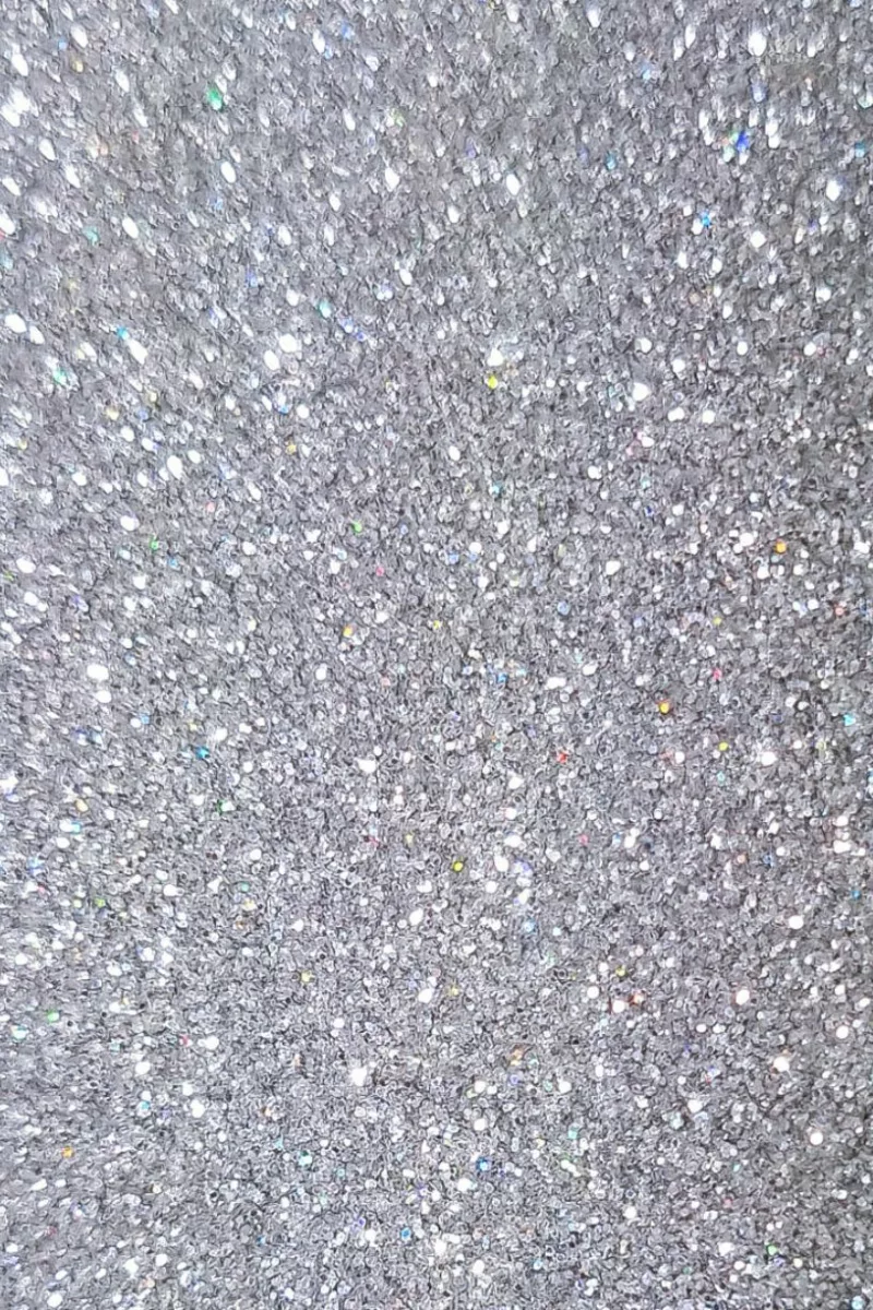 Paillettes - Holo Argenté Fine