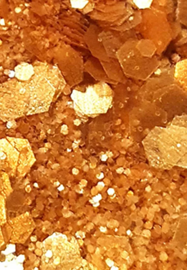 Paillettes - Queen du désert – Image 3