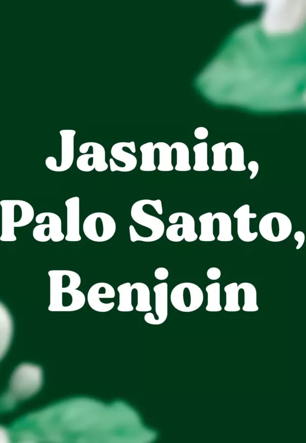 25 bâtons d'encens naturels Dragonfly - JASMIN, PALO SANTO, BENJOIN – Image 3