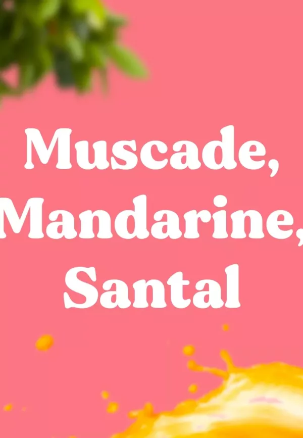 25 bâtons d'encens naturels Bubble Shell - MANDARINE, MUSCADE, BOIS DE SANTAL – Image 3