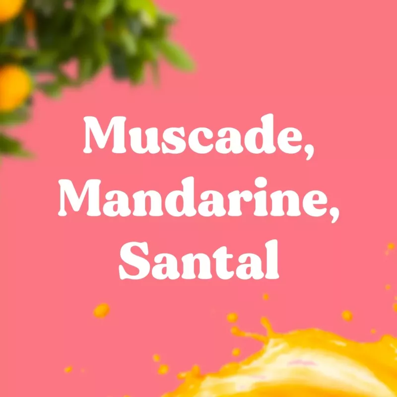 25 bâtons d'encens naturels Bubble Shell - MANDARINE, MUSCADE, BOIS DE SANTAL