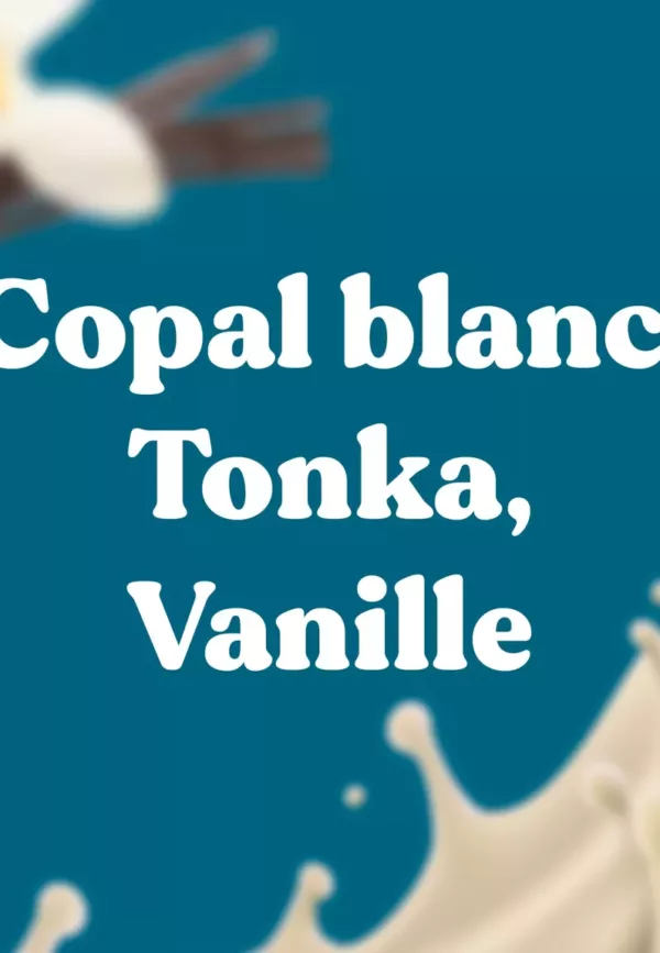 25 bâtons d'encens naturels Blue Bird - COPAL BLANC, FÈVE DE TONKA, VANILLE – Image 3