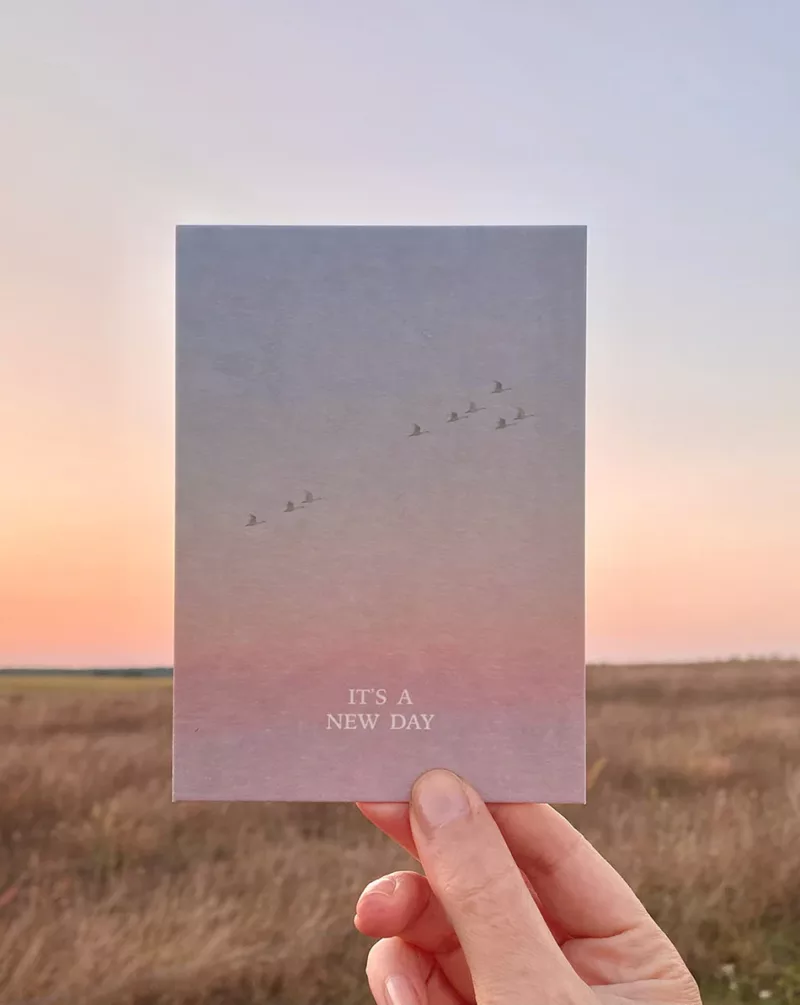 It's a new day - Carte