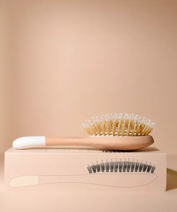 Grande Brosse démêlage et brillance – Image 3