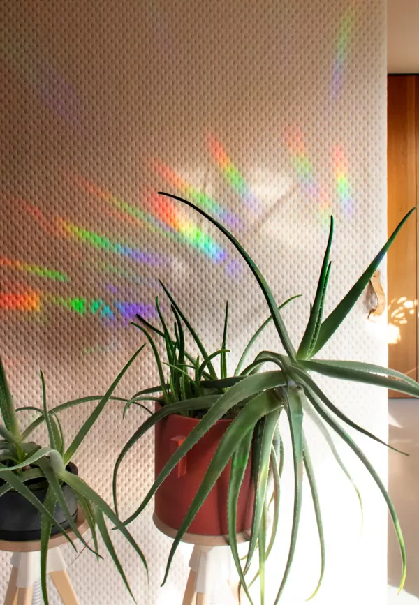 Greenhouse - Sticker créateur d’arc-en-ciel – Image 3