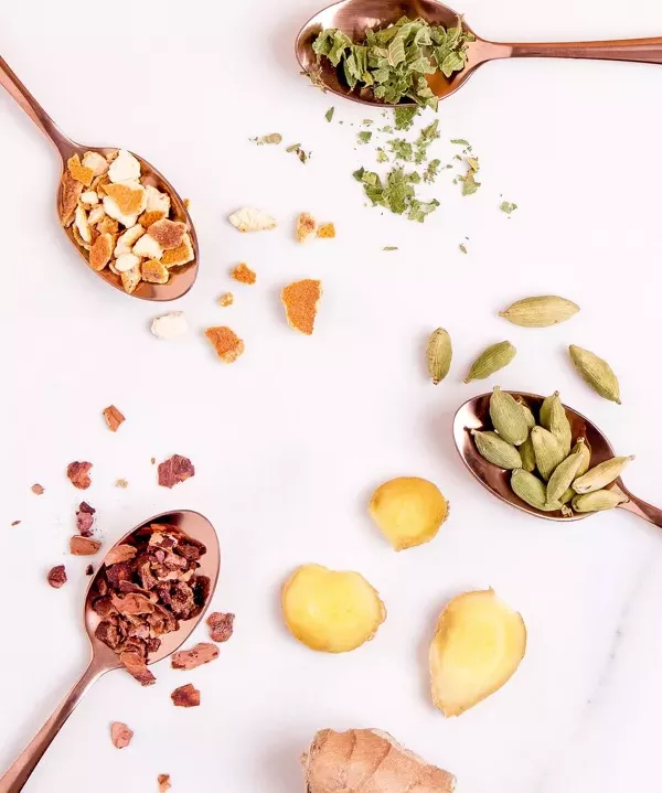 Nausea Saver Tisane Anti-Nausée – Image 2