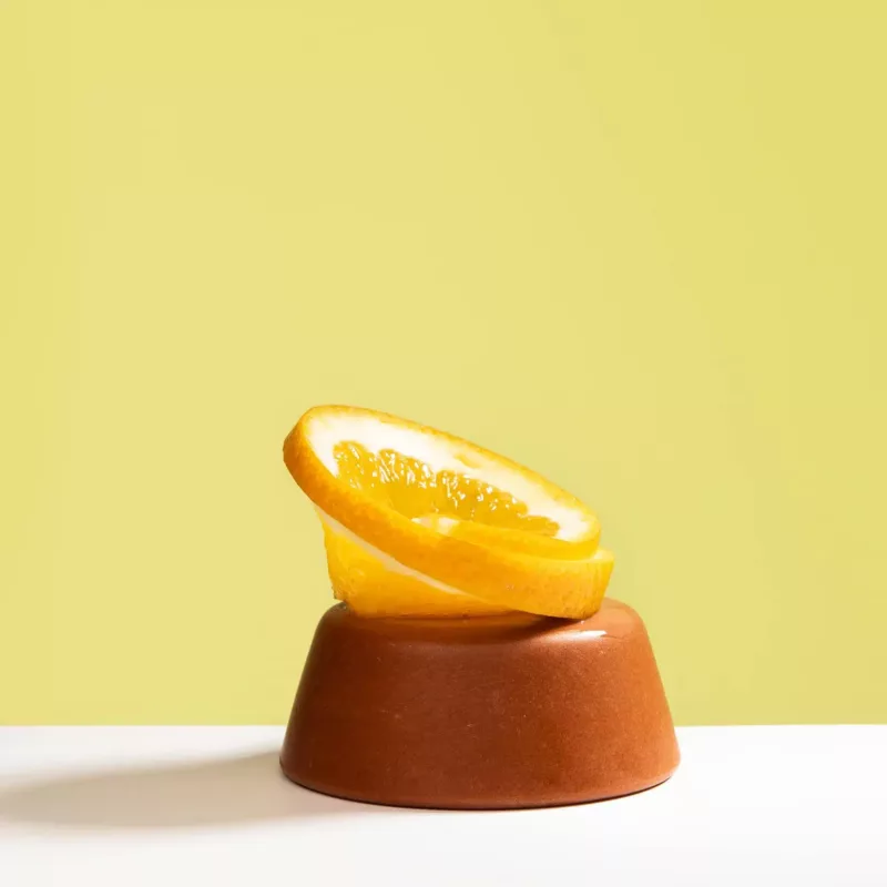 Shampoing solide - Cheveux normaux