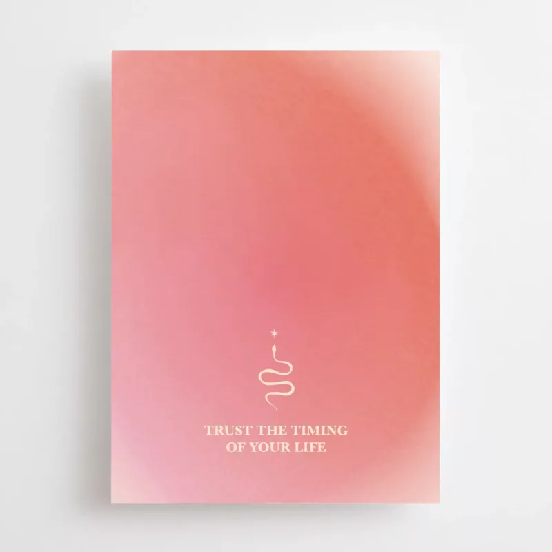 Trust the timing of your life - Carte