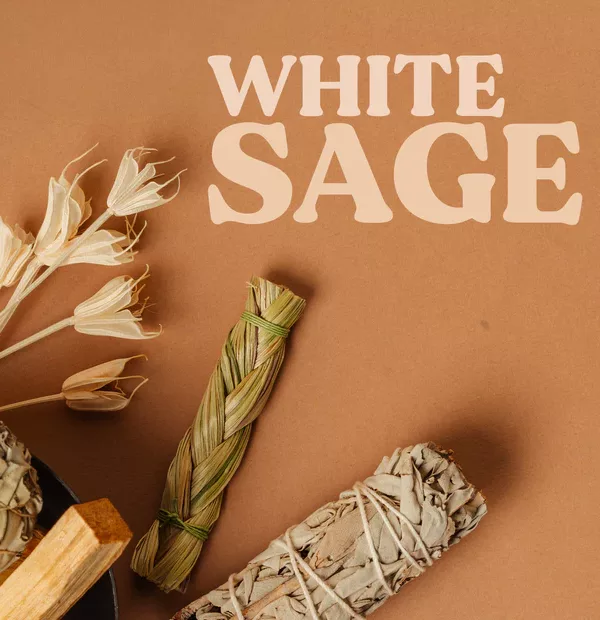 Encens Magic Ritual - SAUGE BLANCHE – Image 3