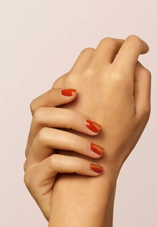 Terracotta - Vernis Green Flash – Image 5