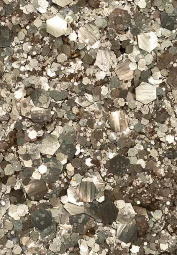 Paillettes - NarSiSique – Image 2