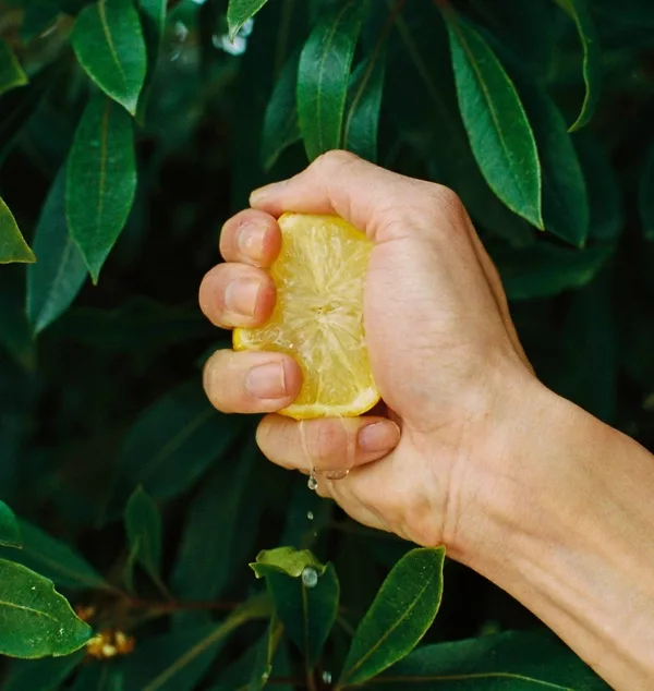 Citrusy Joy - Nettoyant pour les mains stimulant l'humeur – Image 4