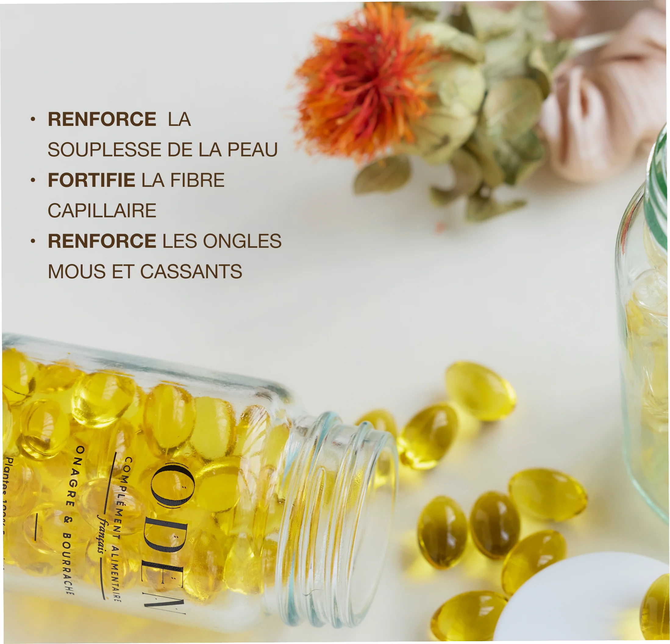 Gelules Onagre & Bourrache - Nourrissante & régénérante – Image 2