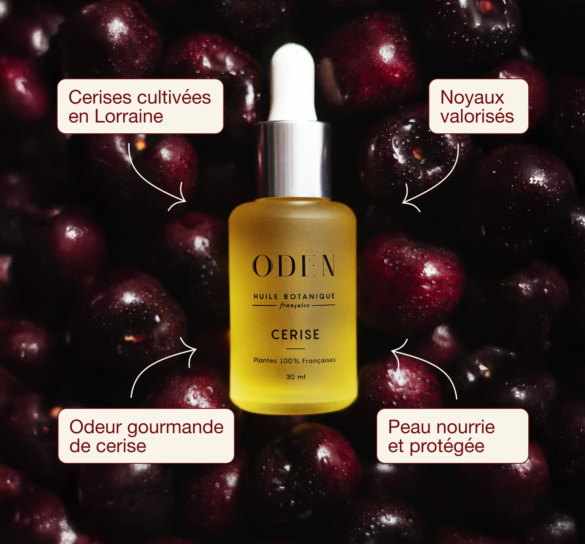 Huile visage de cerise - Nourrissante & Protectrice – Image 2